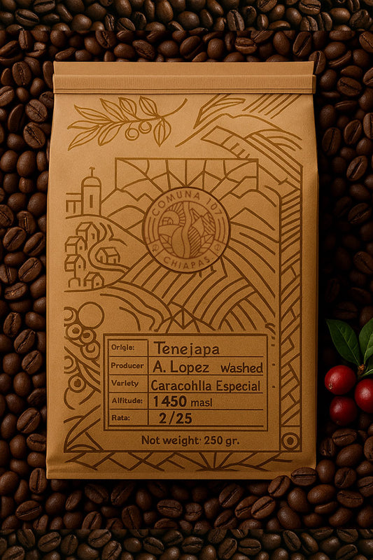 Garnica - Lavado - Antonio Lopez